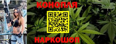 прущие грибы Пенза